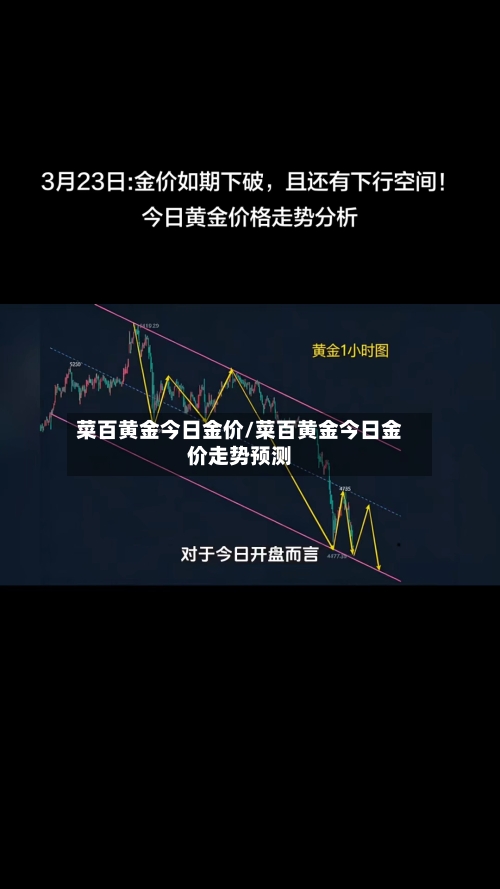 菜百黄金今日金价/菜百黄金今日金价走势预测-第2张图片