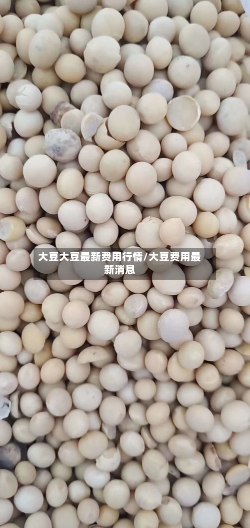 大豆大豆最新费用行情/大豆费用最新消息-第2张图片