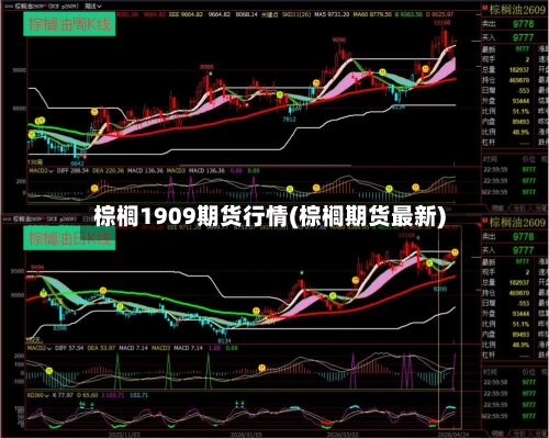 棕榈1909期货行情(棕榈期货最新)-第2张图片
