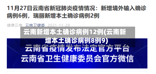 云南新增本土确诊病例12例(云南新增本土确诊病例8例9)-第2张图片