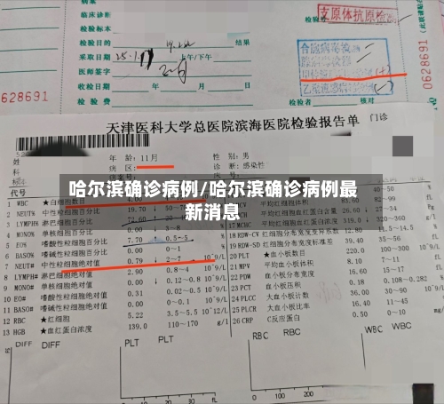 哈尔滨确诊病例/哈尔滨确诊病例最新消息-第3张图片