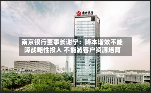 南京银行董事长谢宁：降本增效不能降战略性投入 不能减客户资源培育
