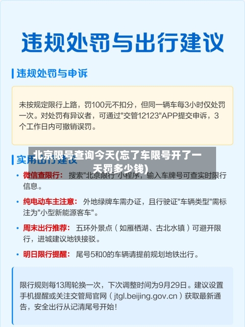 北京限号查询今天(忘了车限号开了一天罚多少钱)-第3张图片