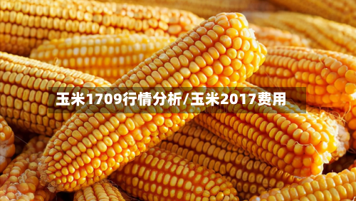 玉米1709行情分析/玉米2017费用