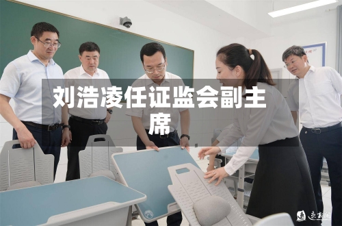 刘浩凌任证监会副主席-第2张图片