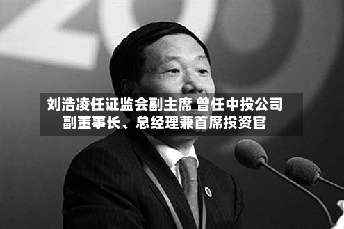 刘浩凌任证监会副主席 曾任中投公司副董事长	、总经理兼首席投资官-第2张图片