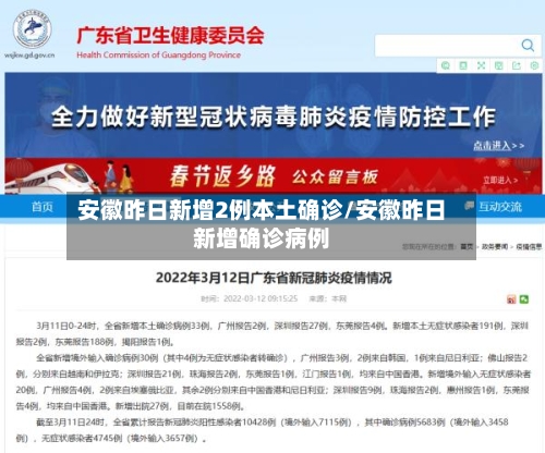 安徽昨日新增2例本土确诊/安徽昨日新增确诊病例-第3张图片
