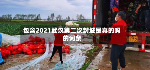 包含2021武汉第二次封城是真的吗的词条-第3张图片