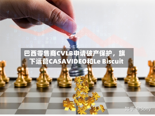 巴西零售商CVLB申请破产保护，旗下运营CASAVIDEO和Le Biscuit-第2张图片
