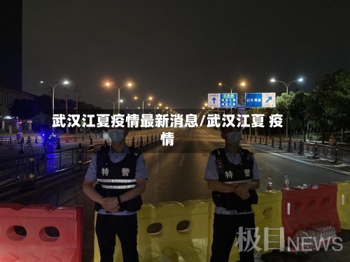 武汉江夏疫情最新消息/武汉江夏 疫情-第2张图片