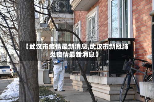 【武汉市疫情最新消息,武汉市新冠肺炎疫情最新消息】-第2张图片