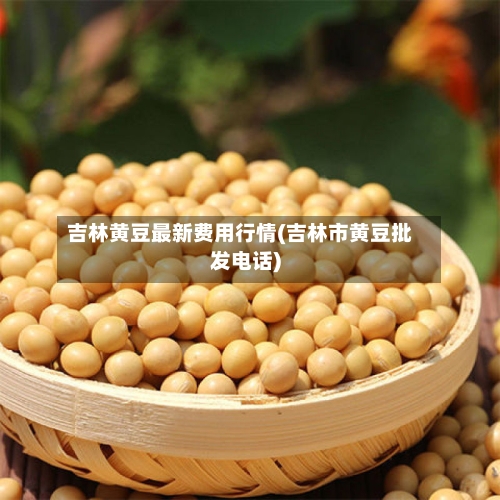 吉林黄豆最新费用行情(吉林市黄豆批发电话)-第2张图片