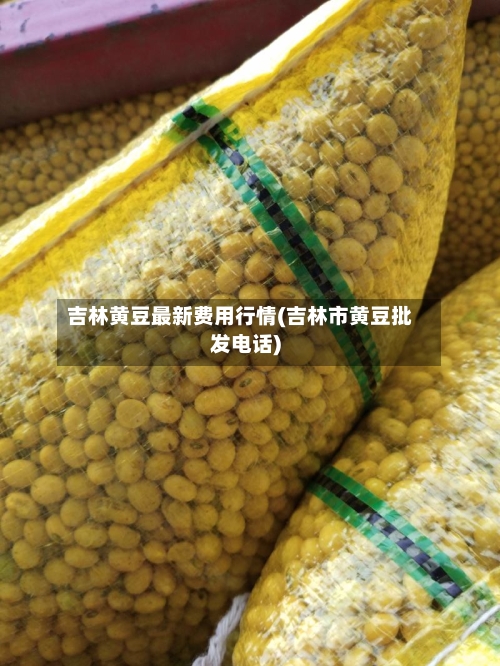 吉林黄豆最新费用行情(吉林市黄豆批发电话)