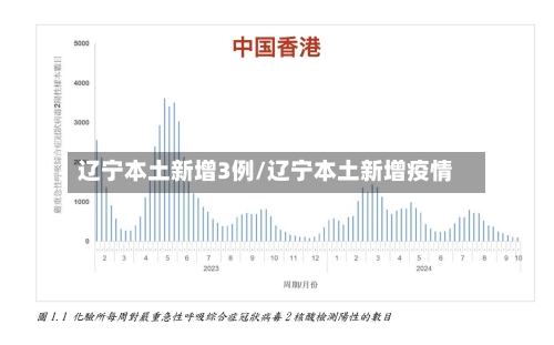 辽宁本土新增3例/辽宁本土新增疫情