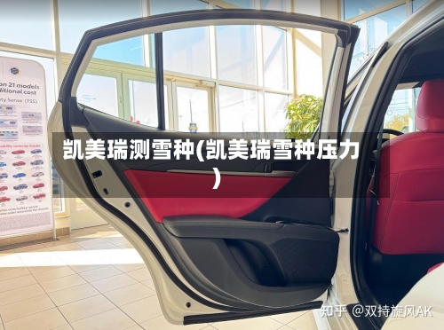 凯美瑞测雪种(凯美瑞雪种压力)-第3张图片