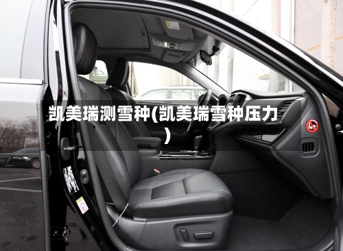 凯美瑞测雪种(凯美瑞雪种压力)