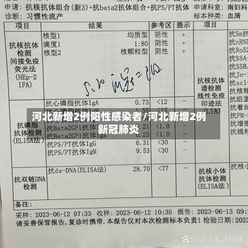 河北新增2例阳性感染者/河北新增2例新冠肺炎