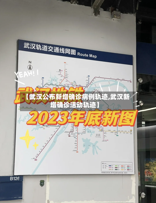【武汉公布新增确诊病例轨迹,武汉新增确诊活动轨迹】