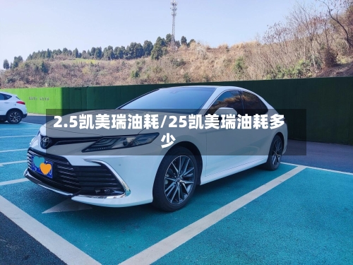 2.5凯美瑞油耗/25凯美瑞油耗多少-第2张图片