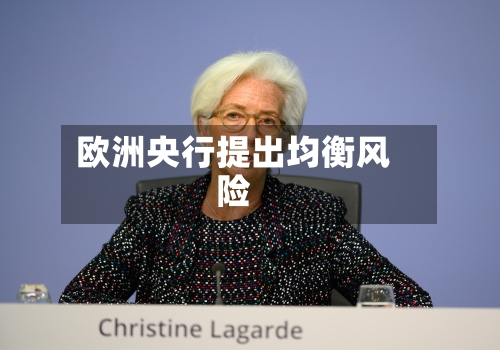 欧洲央行提出均衡风险-第3张图片