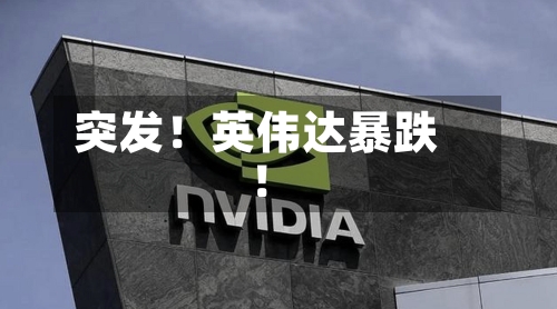突发！英伟达暴跌！