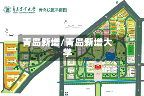 青岛新增/青岛新增大学