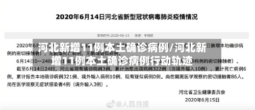河北新增11例本土确诊病例/河北新增11例本土确诊病例行动轨迹-第2张图片