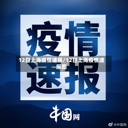 12日上海疫情速报/12日上海疫情速报图-第3张图片