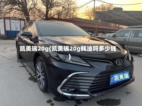 凯美瑞20g(凯美瑞20g耗油吗多少钱)-第2张图片