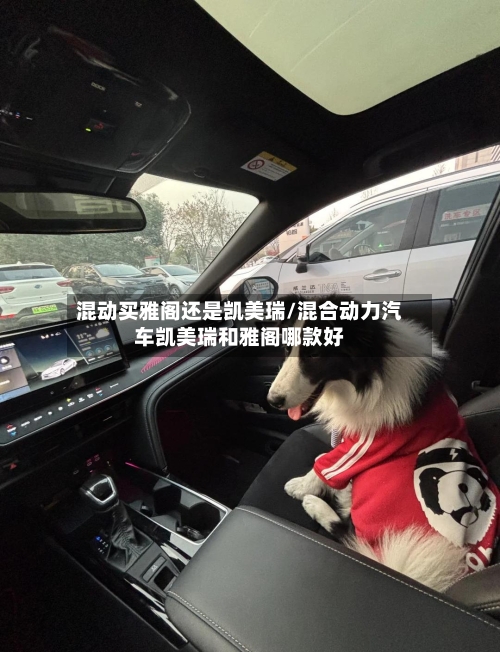 混动买雅阁还是凯美瑞/混合动力汽车凯美瑞和雅阁哪款好