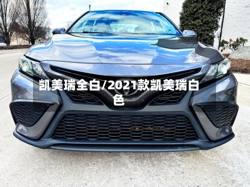 凯美瑞全白/2021款凯美瑞白色-第2张图片