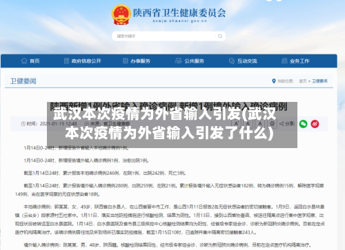 武汉本次疫情为外省输入引发(武汉本次疫情为外省输入引发了什么)