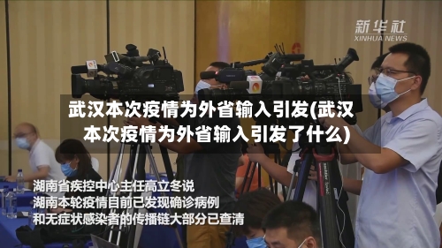 武汉本次疫情为外省输入引发(武汉本次疫情为外省输入引发了什么)-第2张图片