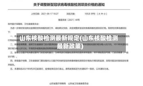 山东核酸检测最新规定(山东核酸检测最新政策)-第2张图片