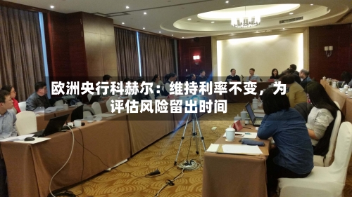 欧洲央行科赫尔：维持利率不变，为评估风险留出时间-第3张图片