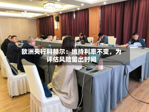 欧洲央行科赫尔：维持利率不变，为评估风险留出时间-第2张图片