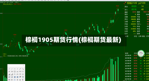 棕榈1905期货行情(棕榈期货最新)