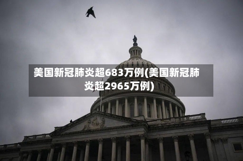 美国新冠肺炎超683万例(美国新冠肺炎超2965万例)-第2张图片