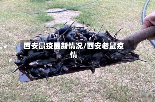 西安鼠疫最新情况/西安老鼠疫情-第2张图片