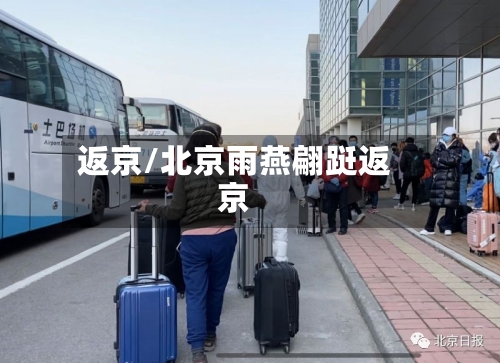 返京/北京雨燕翩跹返京