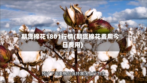 期货棉花1801行情(期货棉花费用今日费用)-第2张图片