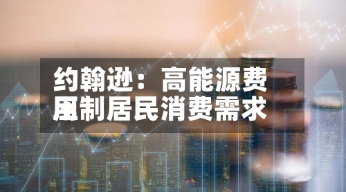 约翰逊：高能源费用压制居民消费需求-第2张图片