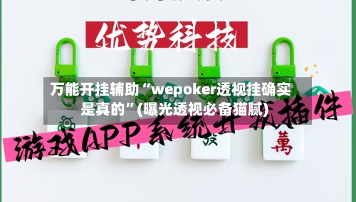万能开挂辅助“wepoker透视挂确实是真的”(曝光透视必备猫腻)