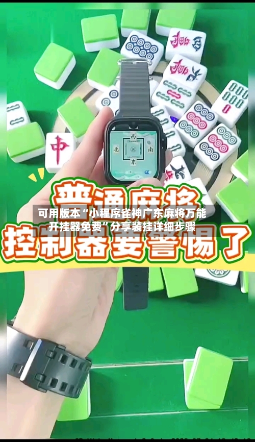 可用版本“小程序雀神广东麻将万能开挂器免费”分享装挂详细步骤-第3张图片