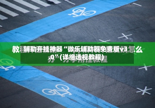 辅助开挂神器“微乐辅助器免费版v3.0”(详细透视教程)-第3张图片