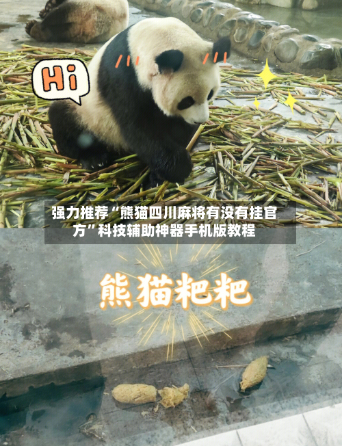 强力推荐“熊猫四川麻将有没有挂官方	”科技辅助神器手机版教程-第3张图片