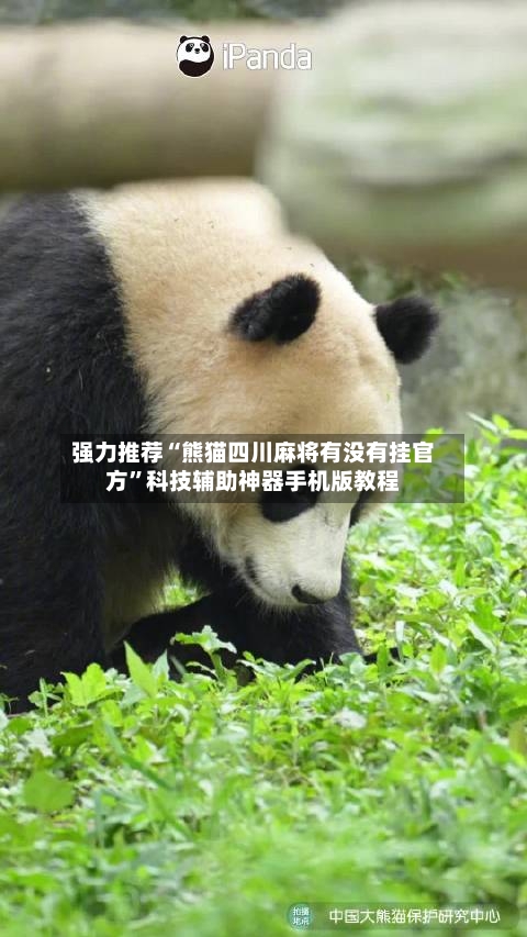 强力推荐“熊猫四川麻将有没有挂官方”科技辅助神器手机版教程-第2张图片