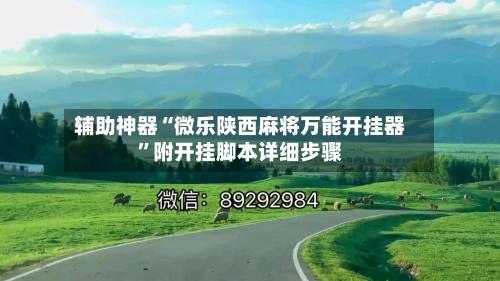 辅助神器“微乐陕西麻将万能开挂器”附开挂脚本详细步骤-第2张图片