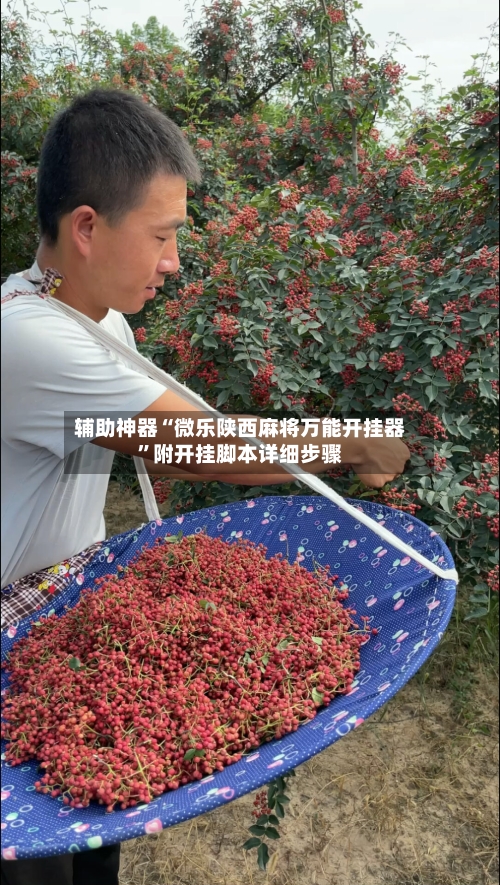 辅助神器“微乐陕西麻将万能开挂器”附开挂脚本详细步骤