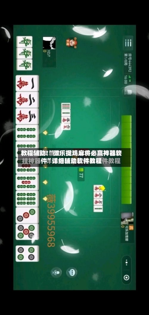 教程辅助!“微乐捉鸡麻将必赢神器软件”详细辅助软件教程